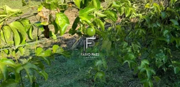 Fazenda / Sítio / Chácara com 3 Quartos à venda, 3700m² no Agrobrasil, Cachoeiras de Macacu