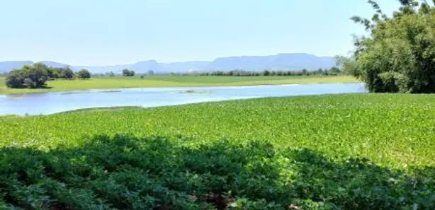 Fazenda / Sítio / Chácara à venda, 21000m² no Camobi, Santa Maria
