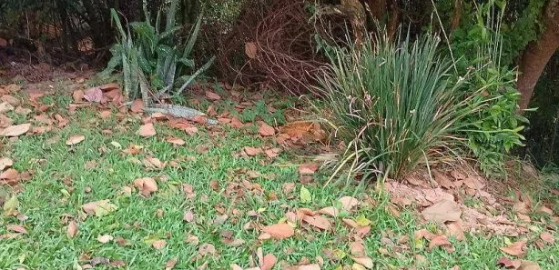 Terreno / Lote / Condomínio à venda, 300m² no Parque Nova Jandira, Jandira