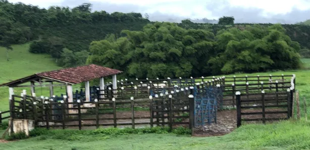 Fazenda / Sítio / Chácara à venda, 1050000m² no , São José da Laje