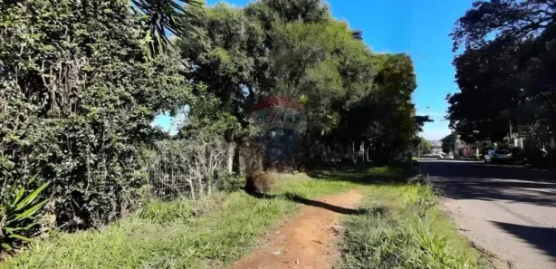 Fazenda / Sítio / Chácara à venda, 1923m² no Jardim Amélia, Pinhais