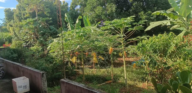 Fazenda / Sítio / Chácara à venda, 170500m² no Jardim Lago Azul, Novo Gama