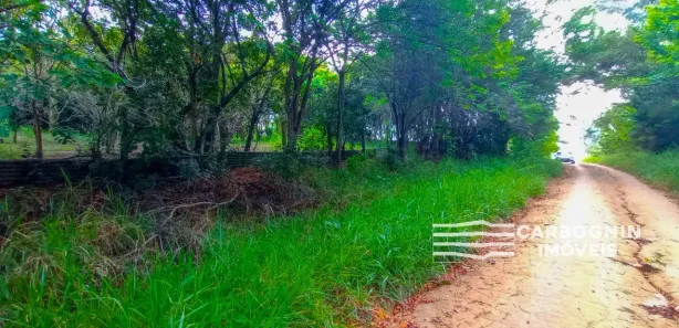 Fazenda / Sítio / Chácara com 1 Quarto à venda, 3000m² no Caçapava Velha, Caçapava