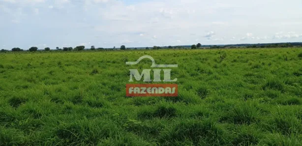 Fazenda / Sítio / Chácara à venda, 500m² no , Formoso do Araguaia