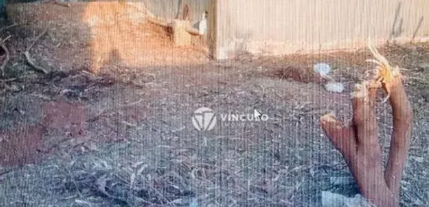 Galpão / Depósito / Armazém à venda, 120m² no Núcleo Habitacional Silvério Cartafina, Uberaba