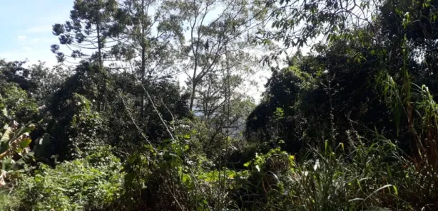 Terreno / Lote / Condomínio à venda, 33m² no Roseira, Mairiporã