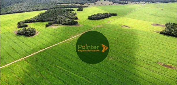 Fazenda / Sítio / Chácara à venda, 7000000m² no Setor Central, Gurupi