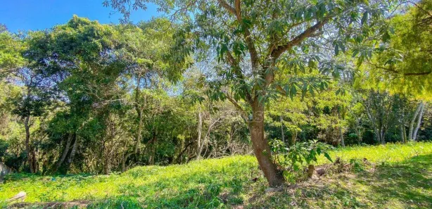 Terreno / Lote / Condomínio à venda, 452m² no Jardim Europa, Vargem Grande Paulista