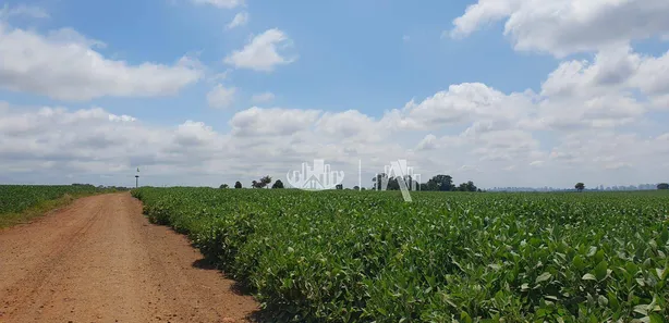 Fazenda / Sítio / Chácara à venda, 363000m² no Recanto dos Pinheiros, Cambé