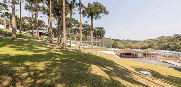 Fazenda / Sítio / Chácara à venda, 11734m² no Santa Gema, Colombo
