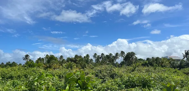 Terreno / Lote / Condomínio à venda, 46000m² no , Barra de Santo Antônio