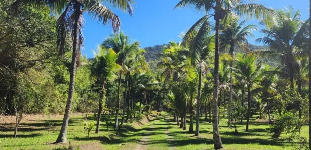 Fazenda / Sítio / Chácara com 3 Quartos à venda, 300m² no Hararas da Peniche, Tanguá
