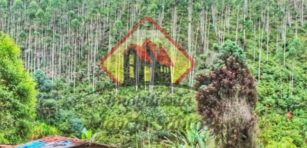 Fazenda / Sítio / Chácara com 3 Quartos à venda, 181500m² no , Redenção da Serra