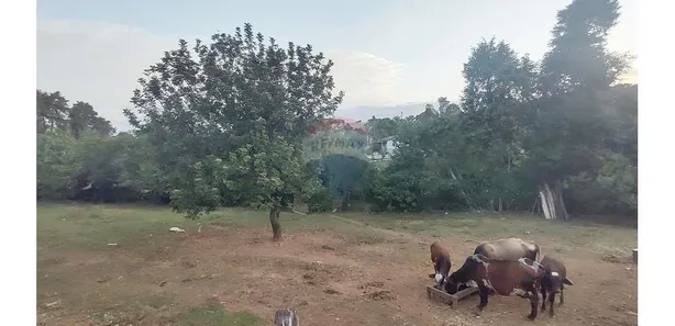 Terreno / Lote / Condomínio à venda, 615m² no Jardim Master, Araçoiaba da Serra
