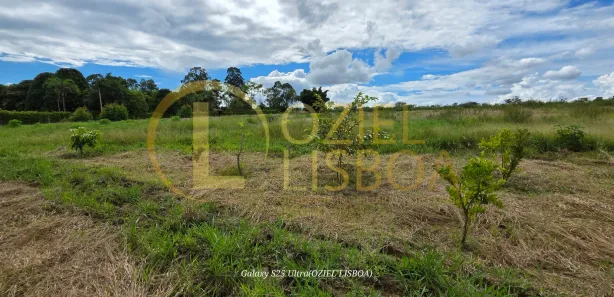 Fazenda / Sítio / Chácara com 3 Quartos à venda, 20000m² no Brazlândia, Brasília