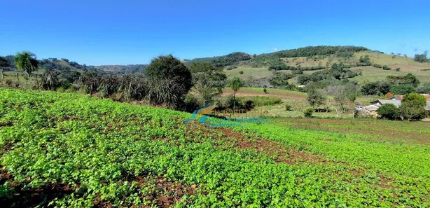 Fazenda / Sítio / Chácara com 5 Quartos à venda, 140360m² no , Guaraniaçu