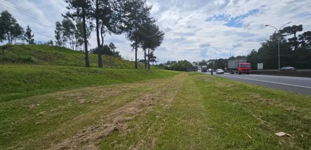 Terreno / Lote Comercial para alugar, 43687m² no Colônia Maria José, Quatro Barras