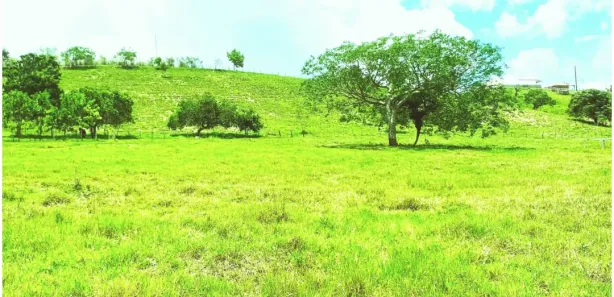 Fazenda / Sítio / Chácara com 3 Quartos à venda, 500000m² no Centro, Nossa Senhora das Dores
