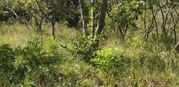 Terreno / Lote / Condomínio à venda, 1184m² no Busca Vida (Abrantes), Camaçari