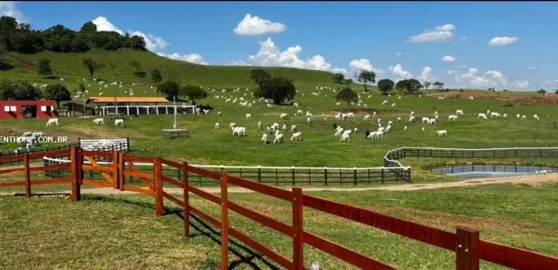 Terreno / Lote Comercial à venda, 1766600m² no Uraí, Uraí