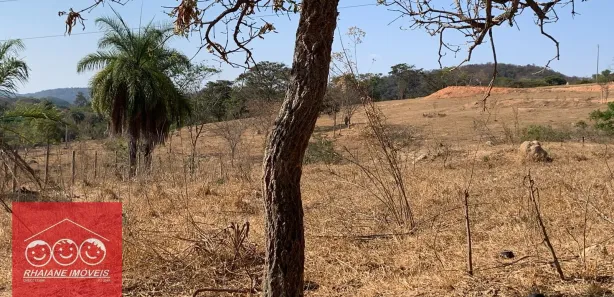 Terreno / Lote / Condomínio à venda, 20000m² no , Florestal