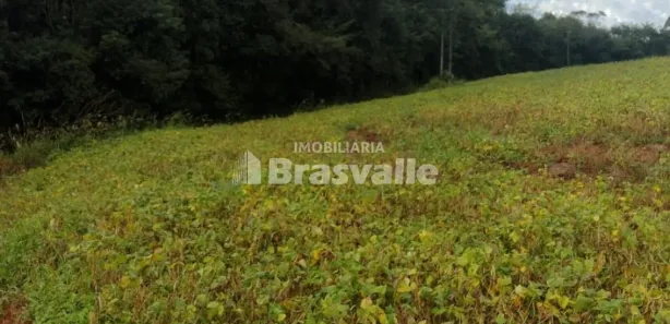 Fazenda / Sítio / Chácara à venda, 5000m² no Barreiro, Cascavel