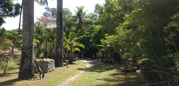 Fazenda / Sítio / Chácara com 3 Quartos à venda, 150m² no Barreira (Bacaxá), Saquarema