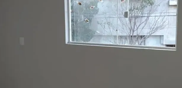 Conjunto Comercial / Sala com 1 Quarto à venda, 238m² no Jardim Europa, Itu