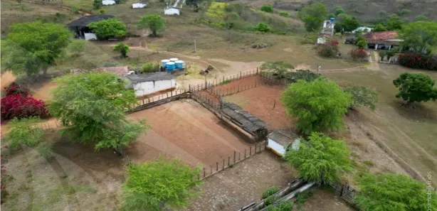 Fazenda / Sítio / Chácara à venda, 5900000m² no , Pombos