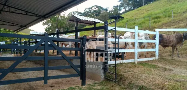 Fazenda / Sítio / Chácara com 3 Quartos à venda, 350m² no Funchal, Cachoeiras de Macacu