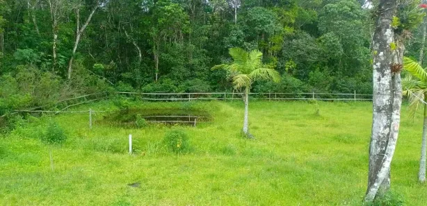Fazenda / Sítio / Chácara com 3 Quartos à venda, 2500m² no Gaivota, Itanhaém
