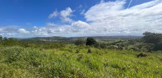 Fazenda / Sítio / Chácara à venda, 4500m² no Área Rural de Gravatá, Gravatá