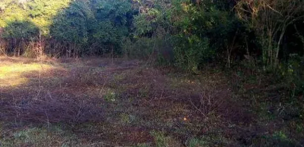 Terreno / Lote Comercial à venda, 24200m² no Pinheiro, Ibiporã