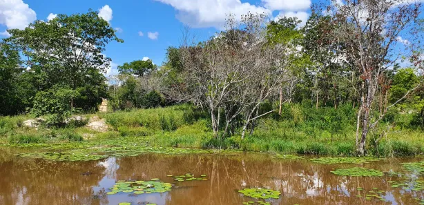 Terreno / Lote / Condomínio à venda, 20000m² no Zona Rural, Fortuna de Minas