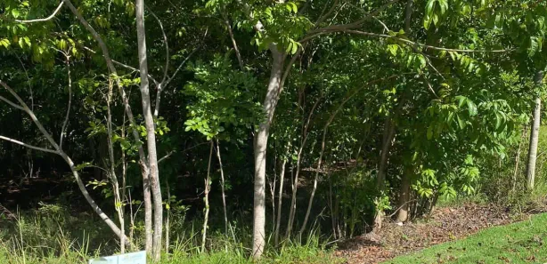 Terreno / Lote / Condomínio à venda, 586m² no Guarajuba (Monte Gordo), Camaçari