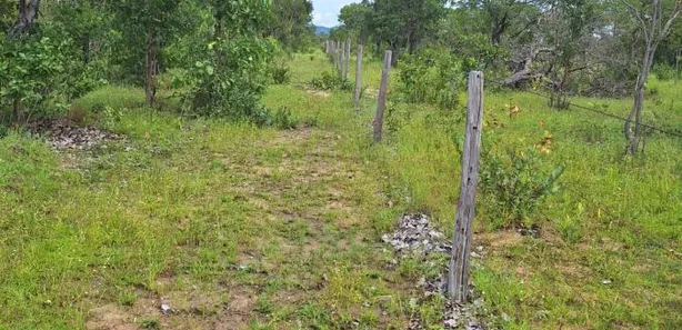 Fazenda / Sítio / Chácara com 4 Quartos à venda, 4065600m² no , Paranã