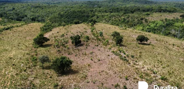 Fazenda / Sítio / Chácara à venda, 348m² no , Rio Sono