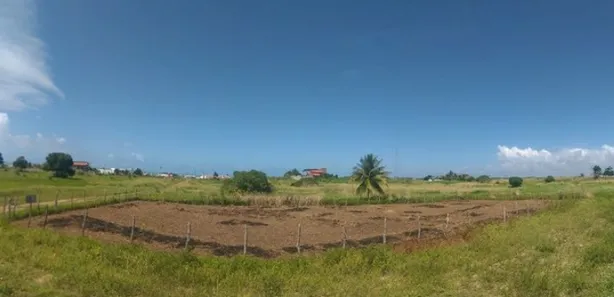 Terreno / Lote / Condomínio à venda, 1456m² no , Pitimbu