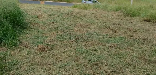 Terreno / Lote / Condomínio à venda, 175m² no Cardeal, Elias Fausto