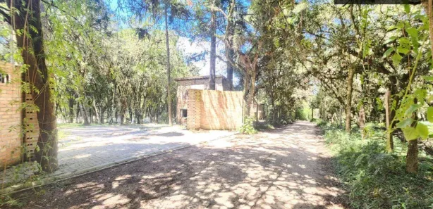 Fazenda / Sítio / Chácara com 3 Quartos à venda, 160m² no Campo Largo da Roseira, São José dos Pinhais