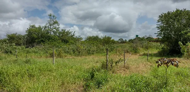 Terreno / Lote / Condomínio com 1 Quarto à venda, 1000m² no Aldeia dos Camarás, Camaragibe
