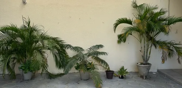 Apartamento com 3 Quartos à venda, 127m² no Centro, Mossoró