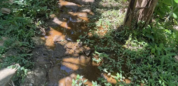 Fazenda / Sítio / Chácara com 2 Quartos à venda, 150m² no , Pacoti