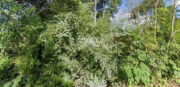 Terreno / Lote / Condomínio à venda, 1534m² no Jardim Pinheiros, Quatro Barras