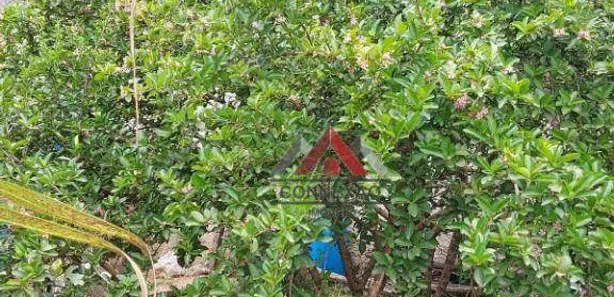 Terreno / Lote / Condomínio à venda, 1225m² no Jardim Chácara Méa, Suzano