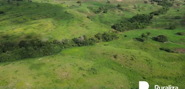 Fazenda / Sítio / Chácara à venda, 1403m² no , Arapoema