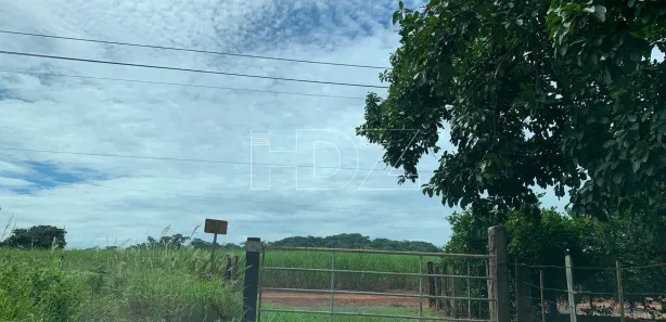 Fazenda / Sítio / Chácara com 5 Quartos à venda, 120m² no Machados, Araraquara