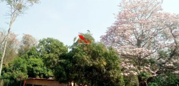 Fazenda / Sítio / Chácara com 4 Quartos à venda, 420m² no , Brasília