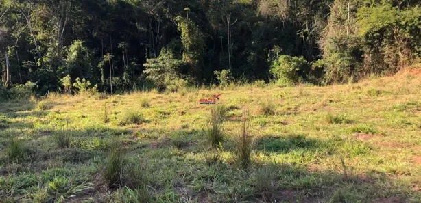 Fazenda / Sítio / Chácara com 1 Quarto à venda, 5121m² no Área Rural de Viçosa, Viçosa