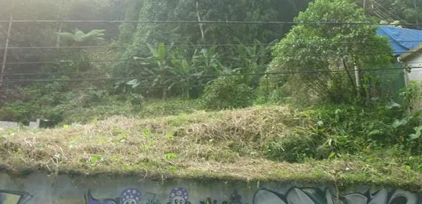 Terreno / Lote / Condomínio à venda, 3000m² no Castelanea, Petrópolis